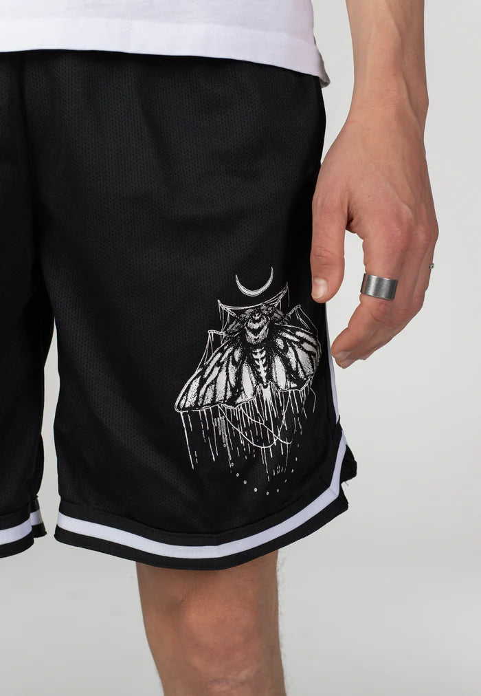 Moth Striped - Shorts